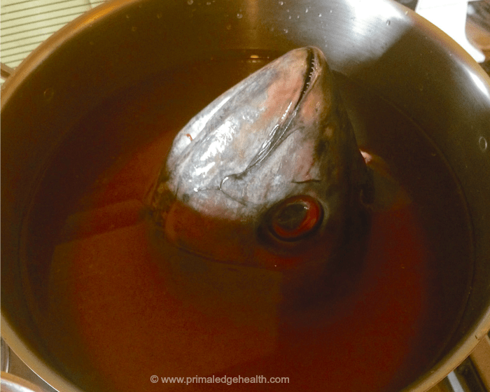 fish stock with heads
