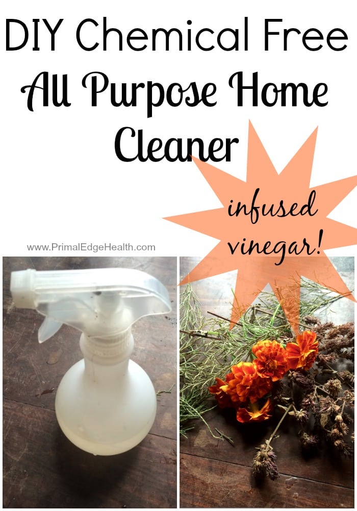 DIY Chemical Free All Purpose Home Cleaner Primal Edge Health