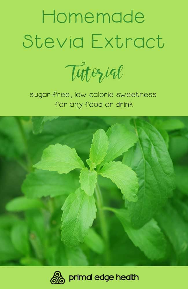 Homemade Stevia Extract Tutorial Primal Edge Health