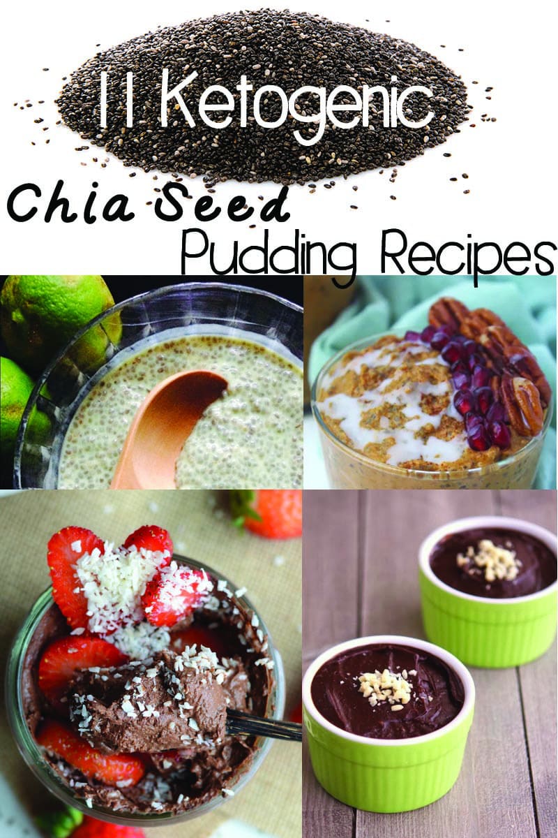 round up ketogenic chia pudding recipes - Primal Edge Health