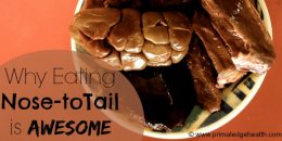 why we should eat nose to tail