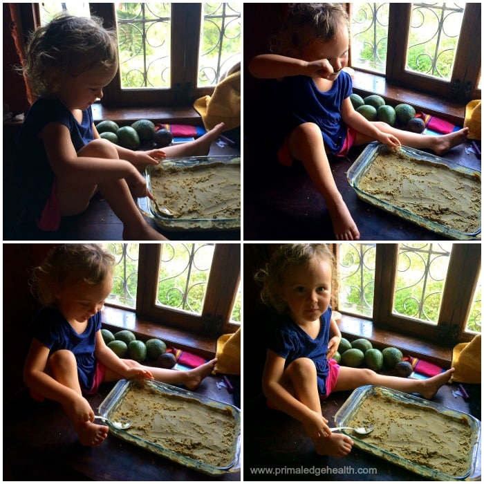 A child sitting by the window enjoying the pemmican recipe.