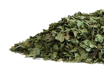 Cilantro leaves.