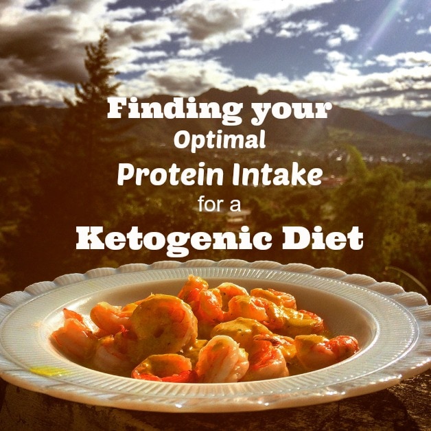 Finding your optimal protein intake for a ketogenic diet.