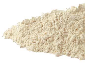 Garlic powder with white background.