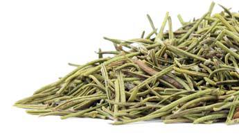 Pile of rosemary with white background.