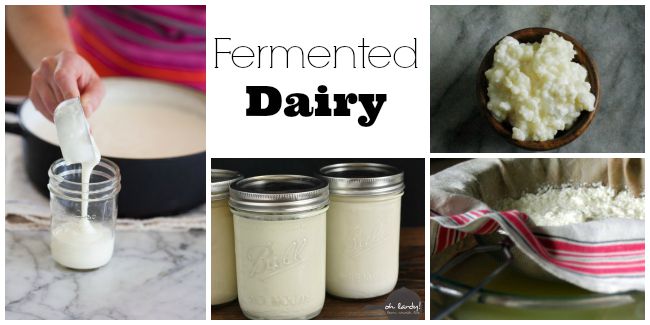 Fermented dairy.