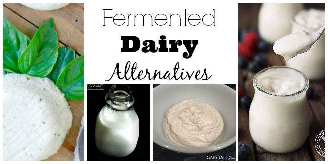 Fermented dairy alternatives.