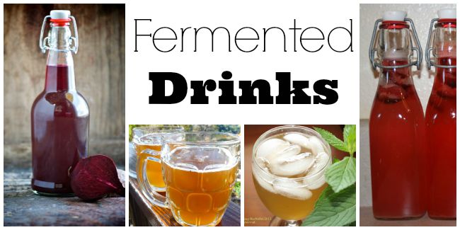 Fermented drink collage of four recipes.