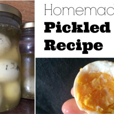 Homemade Pickled Egg Recipe
