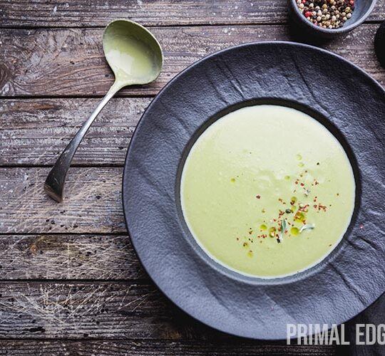 vitamix avocado soup