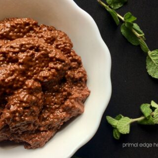 Double chocolate mint chip chia pudding in a bowl.