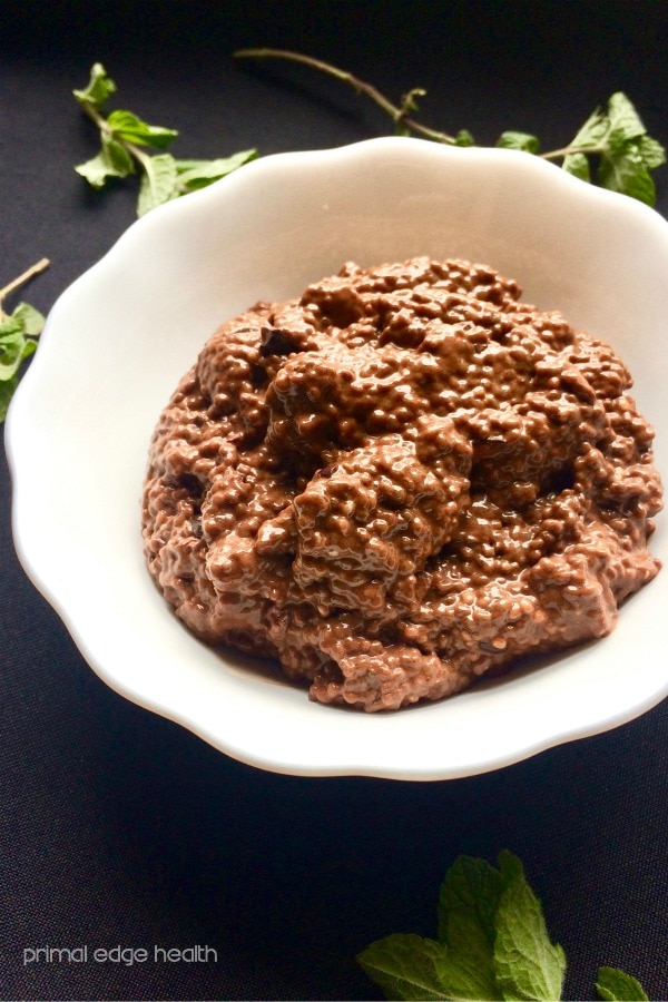 A bowl of double chocolate mint chip chia pudding.