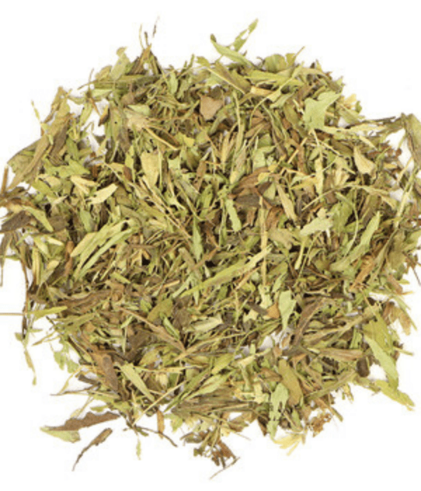 Dry stevia leaf in a white background.