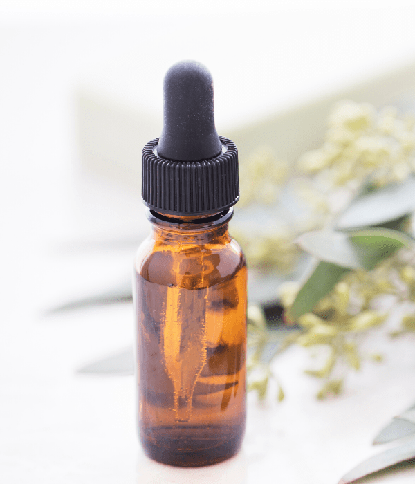 Eucalyptus essential oil with eucalyptus leaves in a glass bottle for homemade stevia extract.
