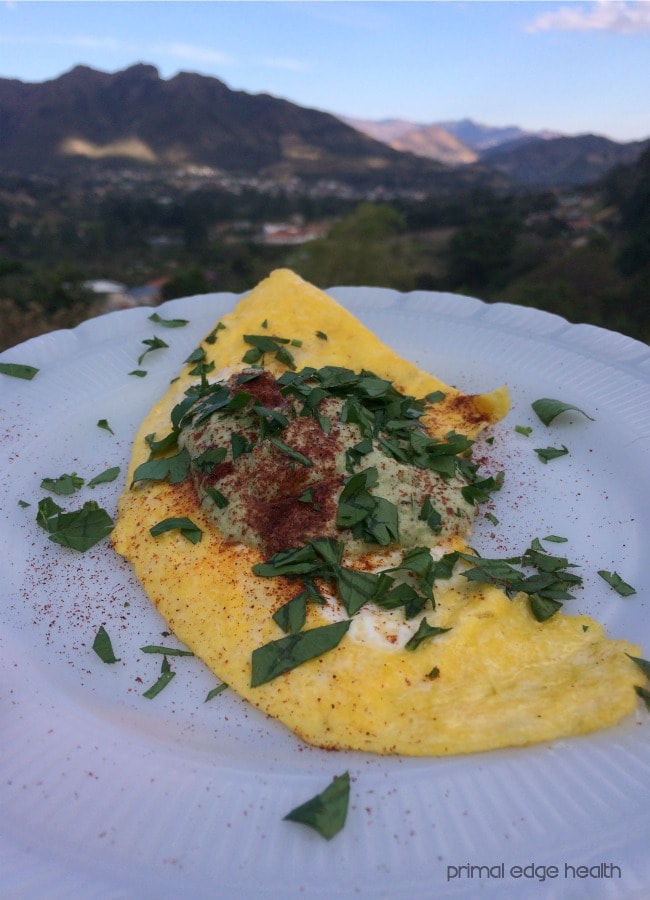 Omelette with zucchini hummus on a white plate.