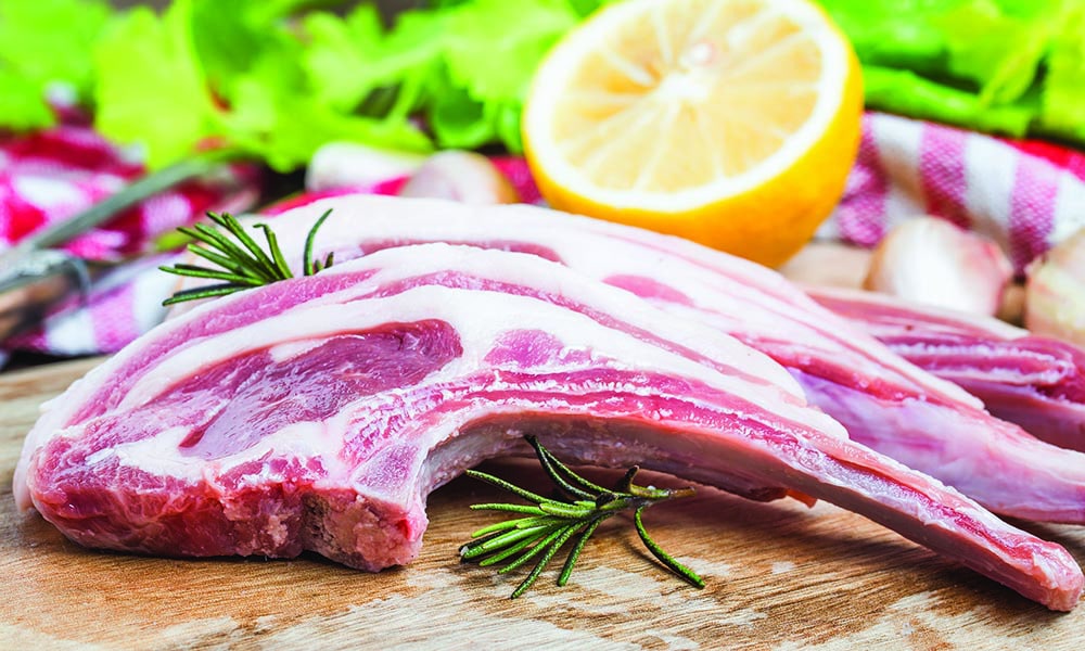 primal edge health podcast