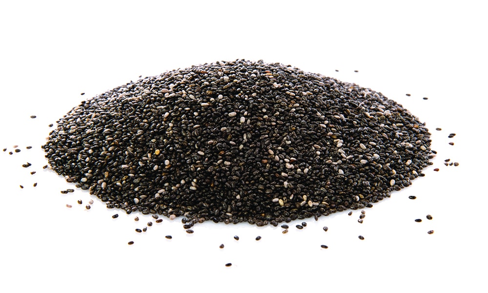 11 Ketogenic Chia Seed Pudding Recipes Primal Edge Health