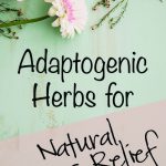 Adaptogenic Herbs for Natural Stress Relief - Primal Edge Health