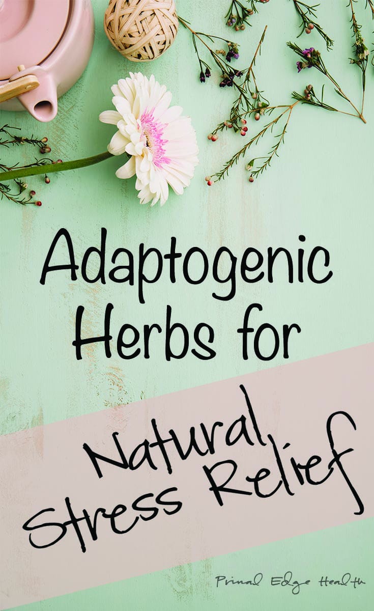 Adaptogenic Herbs for Natural Stress Relief - Primal Edge Health