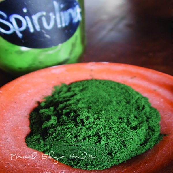 Spirulina powder on a red plate.