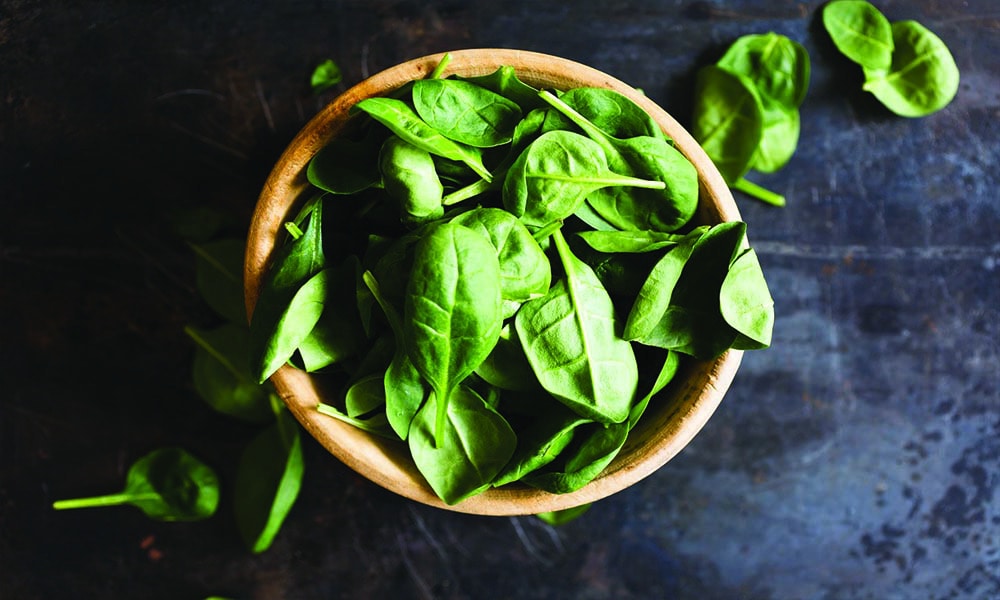 A bowl of green leafy vegetable.