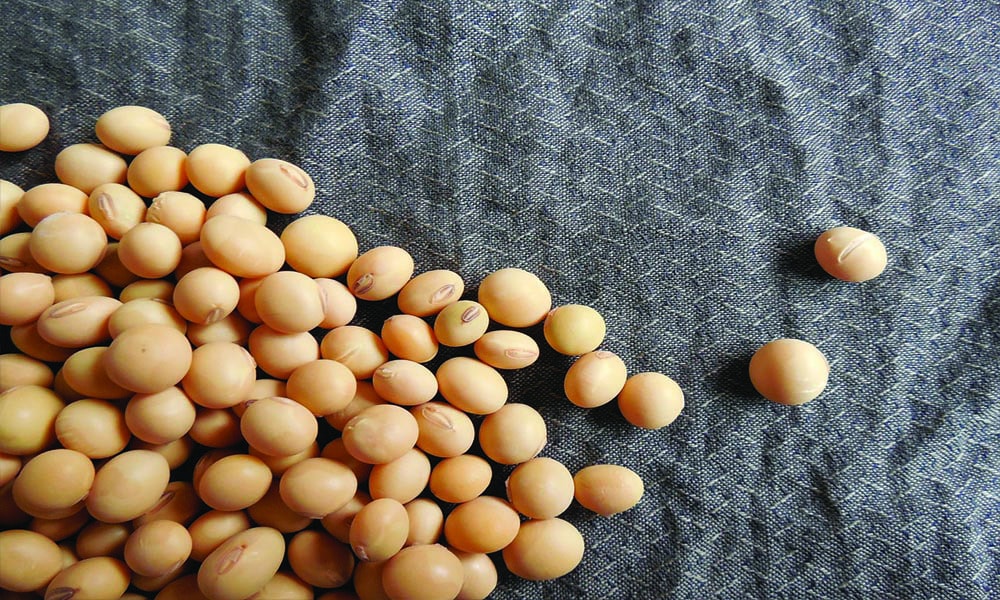 A pile of tiny yellow beans on dark gray background.