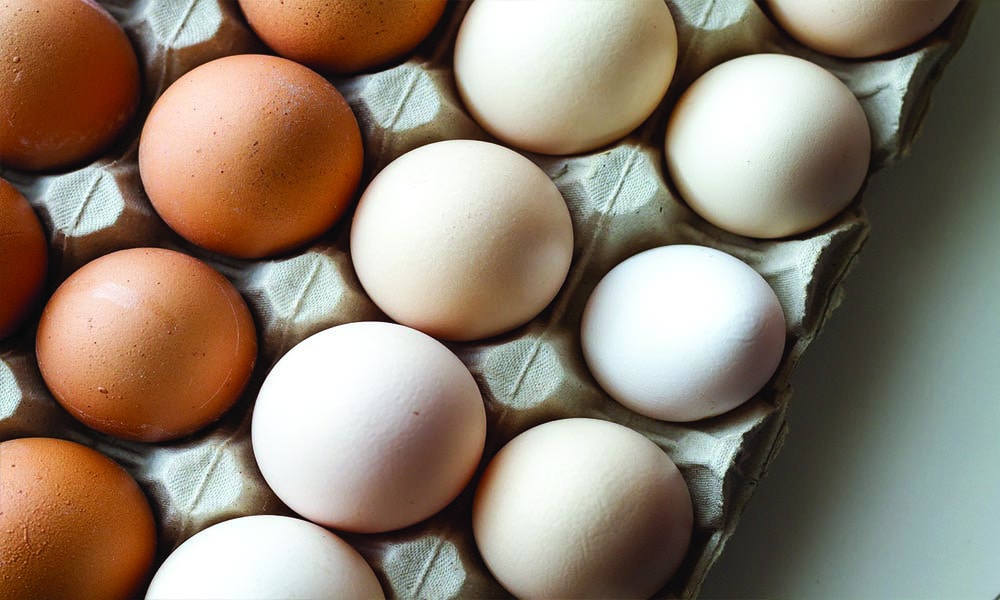 Fresh eggs in an egg carton.