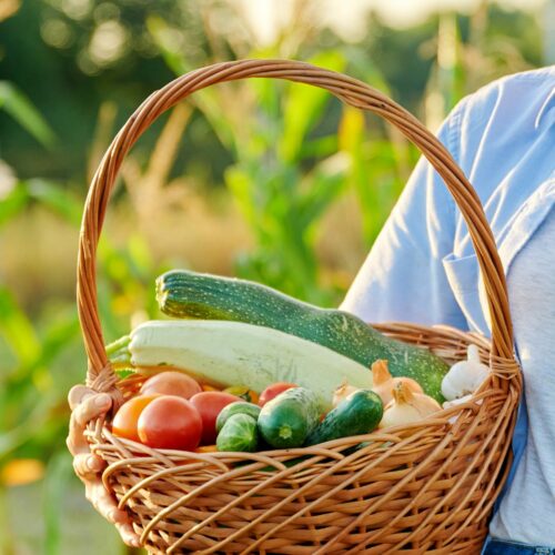 A person showcasing a basket filled with fresh local produce.