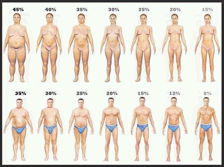 Macros for a ketogenic diet fat percent chart.