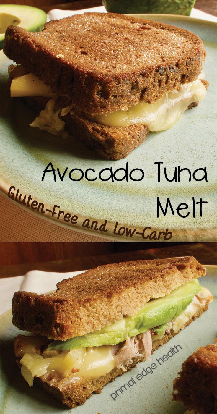 Avocado tuna melt. Gluten-free and low-carb. Primal Edge Health.
