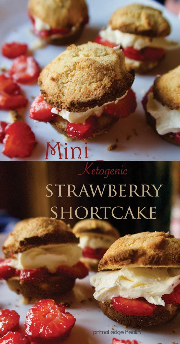 Mini ketogenic strawberry shortcake.