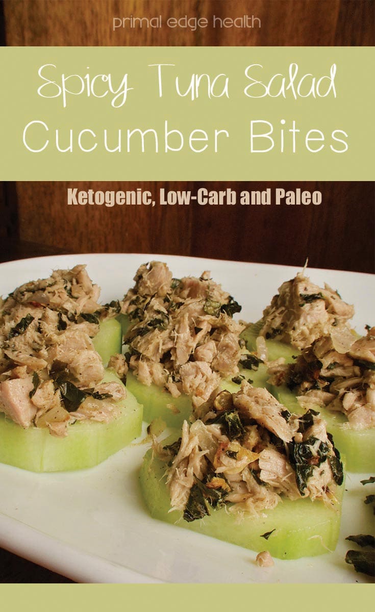 Spicy tuna salad cucumber bites. Ketogenic, low-carb and paleo. Primal Edge Health.