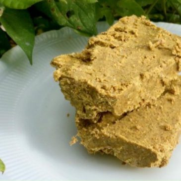 pemmican bar feat image