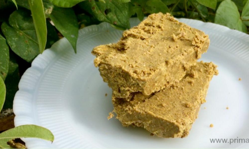 Slices of pemmican on white plate with leaves in the background.