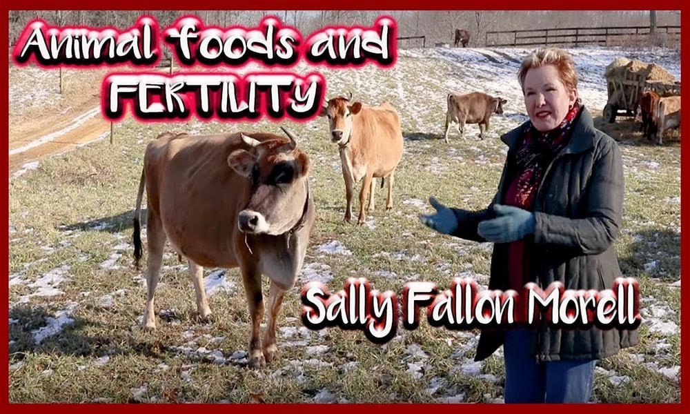 Sally Fallon Morell. Animal foods and fertility.