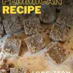 Homemade pemmican recipe. Long-term survival food.