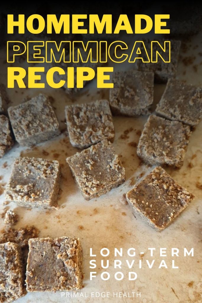 Homemade pemmican recipe. Long-term survival food.