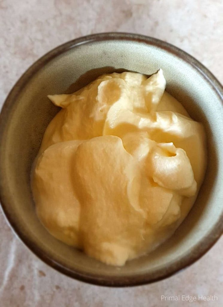 Carnivore diet dessert low oxalate in a bowl.