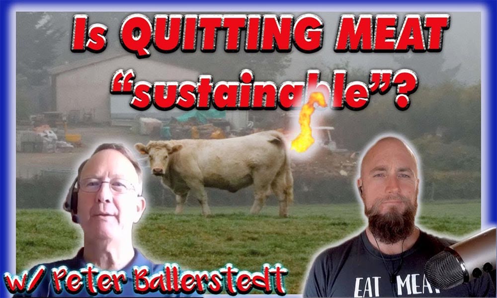 Peter Ballerstedt - Is quitting meat sustainable?