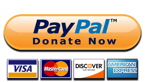 Paypal donate now logo in transparent background.