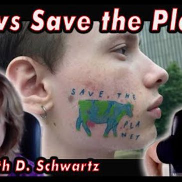 Judith D. Schwartz. Cows save the planet Image.