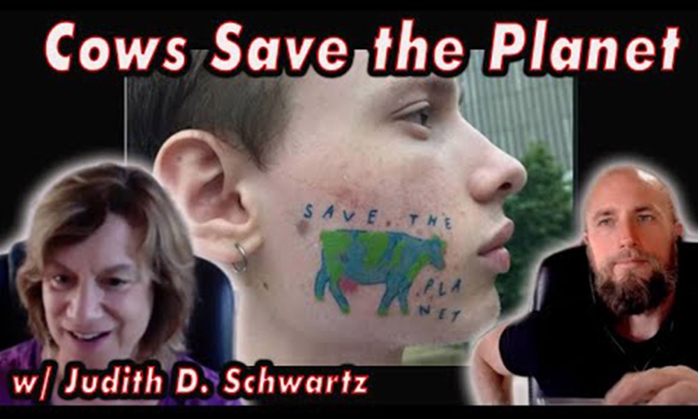 Judith D. Schwartz. Cows save the planet Image.