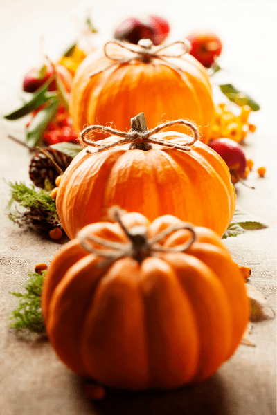 Three pumpkins lined up on a table.