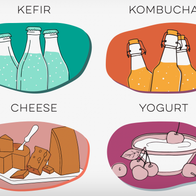 Starter Cultures (Yogurt, Cheese, Kefir, Kombucha)