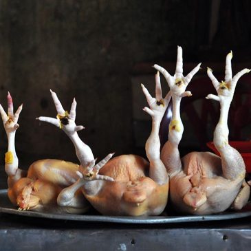 A tray of chickens on a table.