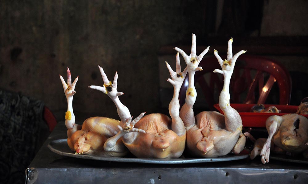A tray of chickens on a table.