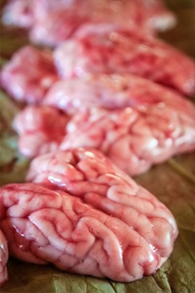 healthy organ meats offal