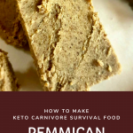 How to Make Keto Carnivore Survival Food Pemmican by Primal Edge Health.