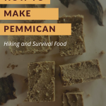 Traditional Native American Pemmican recipe